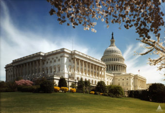Exterior view of United States Capitol Hill Building | Divine World Botanicals